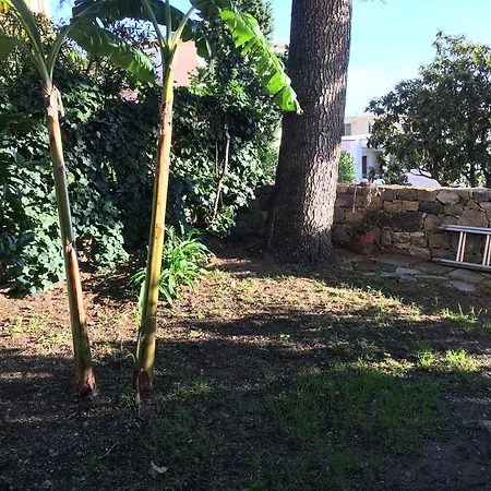 Mio Riposo - Corso Degli Inglesi 383 Appartamento *