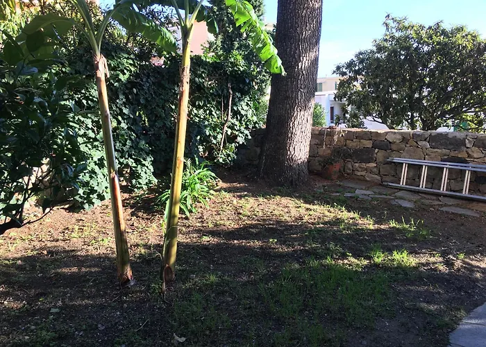 Mio Riposo - Corso Degli Inglesi 383 Appartamento *